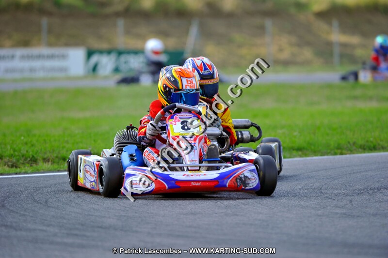DSC_ (731).jpg